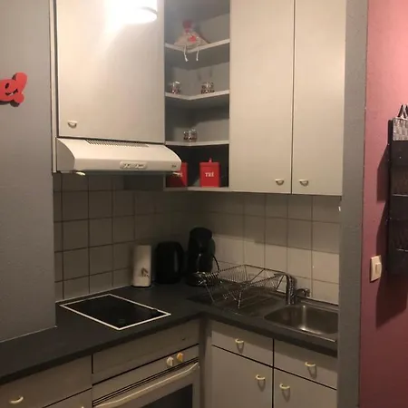 Cosy Proche Centre Ville * Кольмар